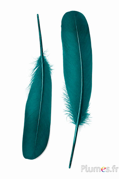 Schwan Seide - 25-30 cm - petrol